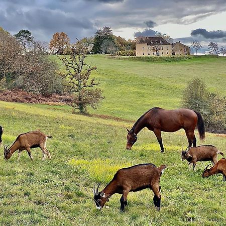 Domaine De Cazal - Chambres D'Hotes Avec Piscine Au Coeur De 26 Hectares De Nature Preservee Saint Cyprien Bagian luar foto