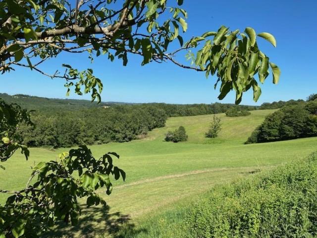 Domaine De Cazal - Chambres D'Hotes Avec Piscine Au Coeur De 26 Hectares De Nature Preservee Saint Cyprien Bagian luar foto